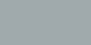Colour Starlight Silver Metallic