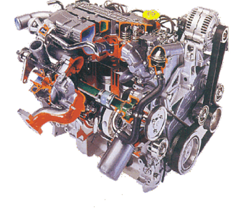 SD1 Dieselmotor, 1980