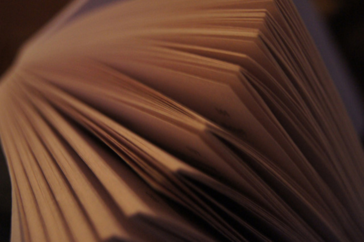 Rover Literatur Intro